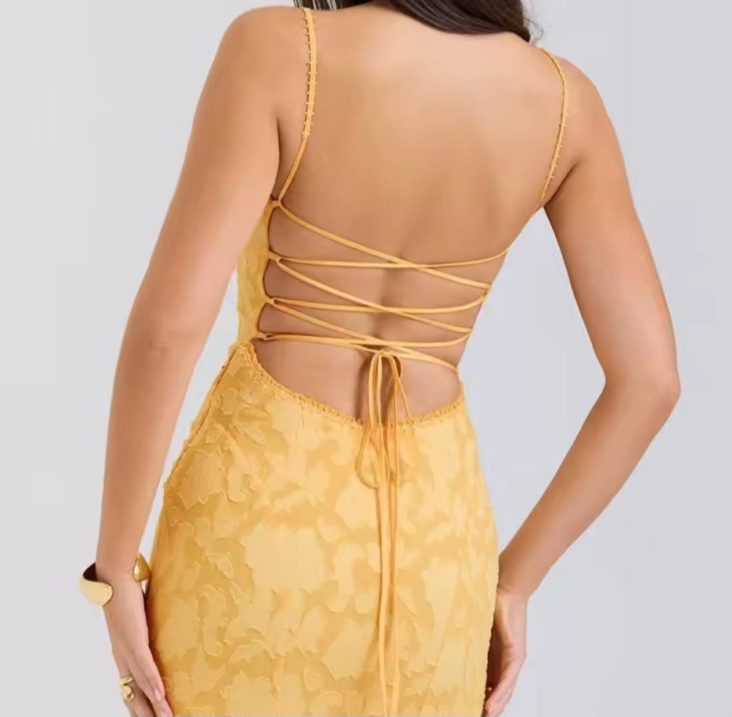 Margarita transparent midi dress