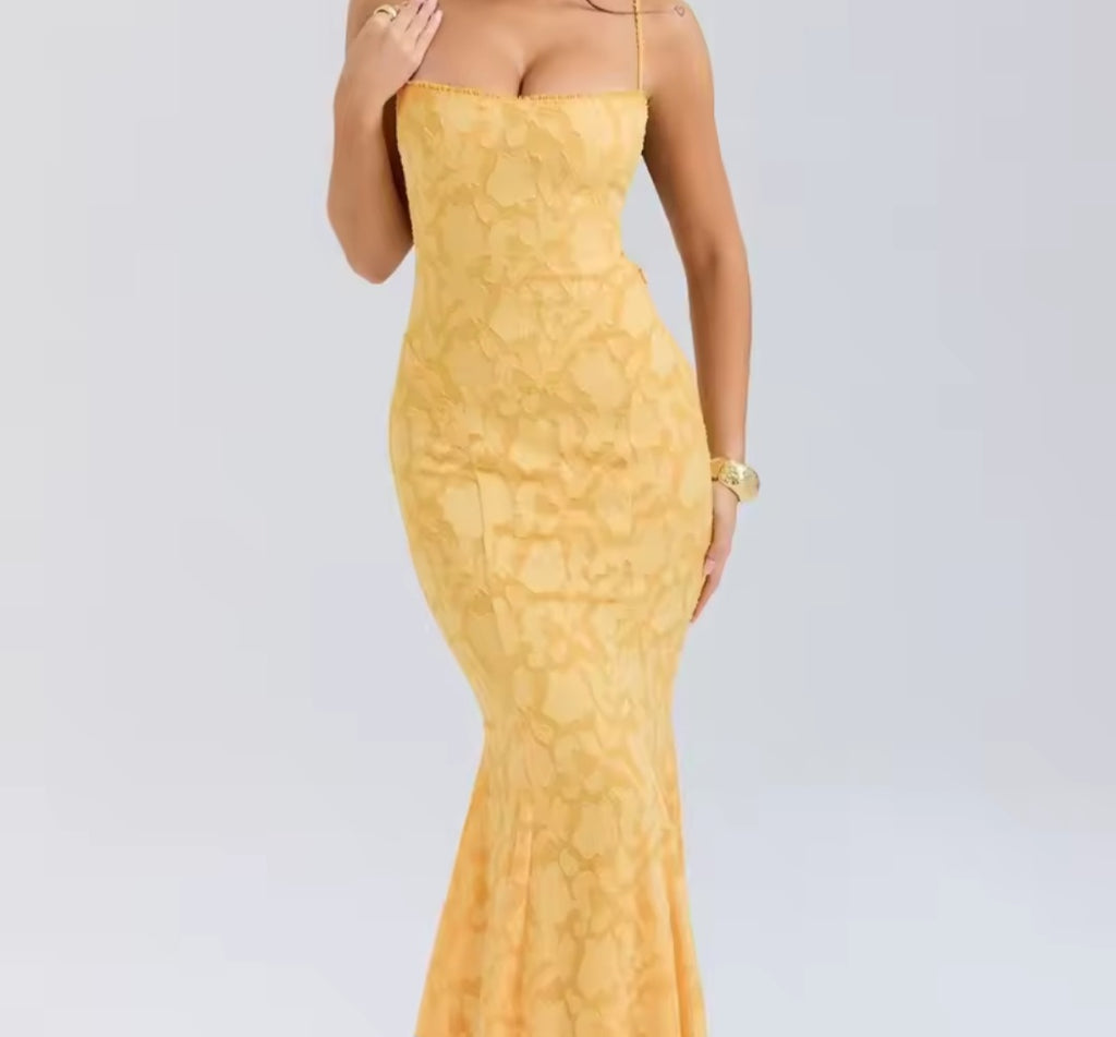 Margarita transparent midi dress